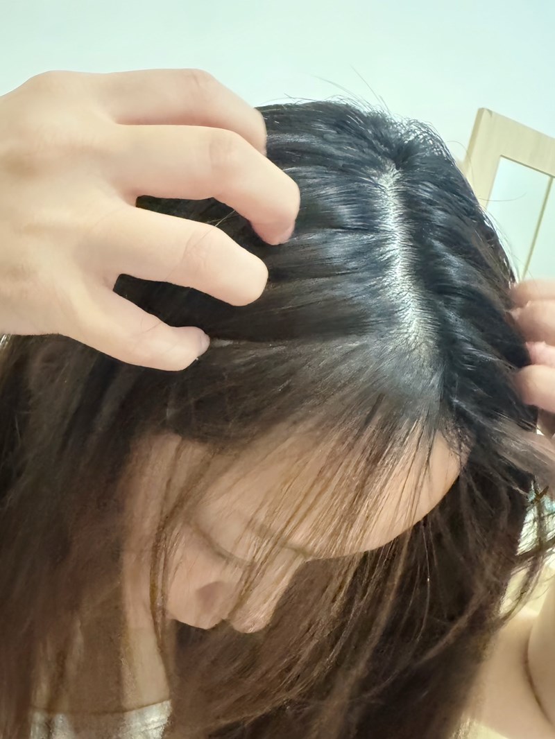 試用